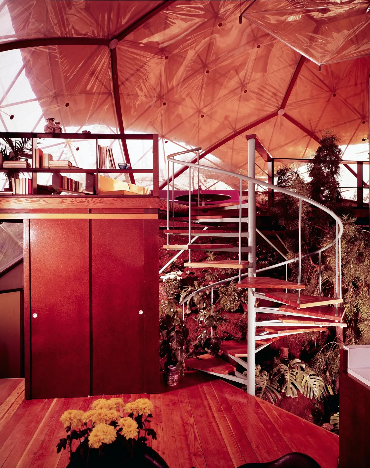 The same view in colour: spiral stair, cabinets, plants and flowers.